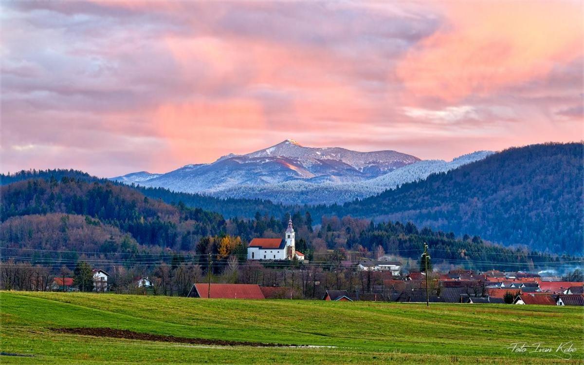 Guesthouse & Apartments Pri Stani Zerovnica Exteriör bild